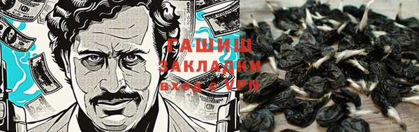 jwh Алзамай