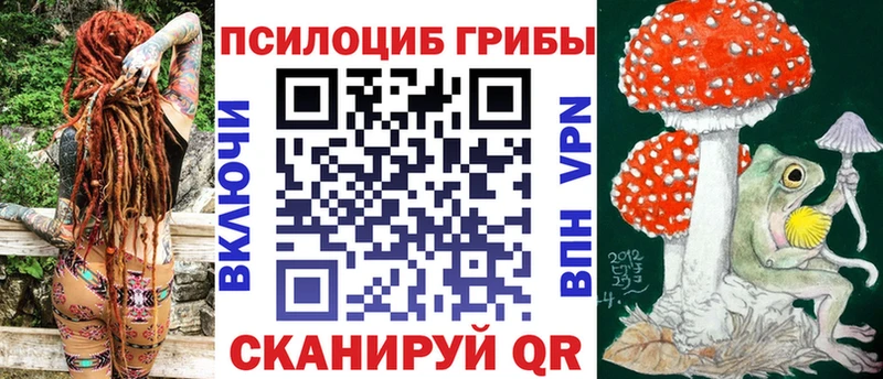 Галлюциногенные грибы Psilocybe цены наркотик mega зеркало Алексеевка