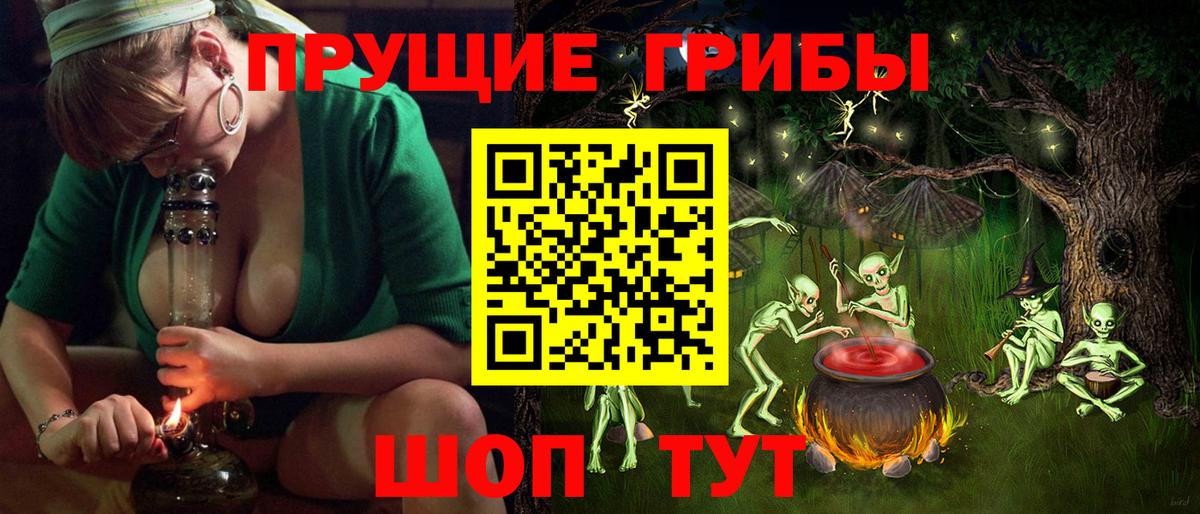 купить наркоту  Вход с VPN  Алексеевка  Псилоцибиновые грибы Psilocybine cubensis 