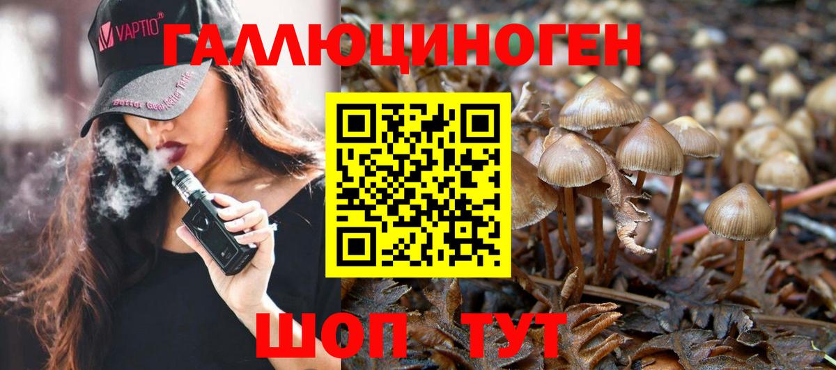Псилоцибиновые грибы Psilocybe Алексеевка