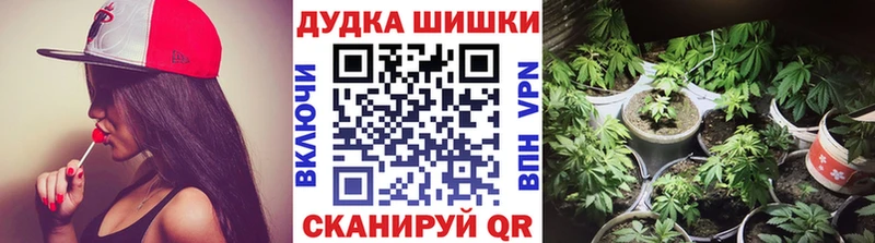 Конопля Ganja продажа наркотиков Алексеевка