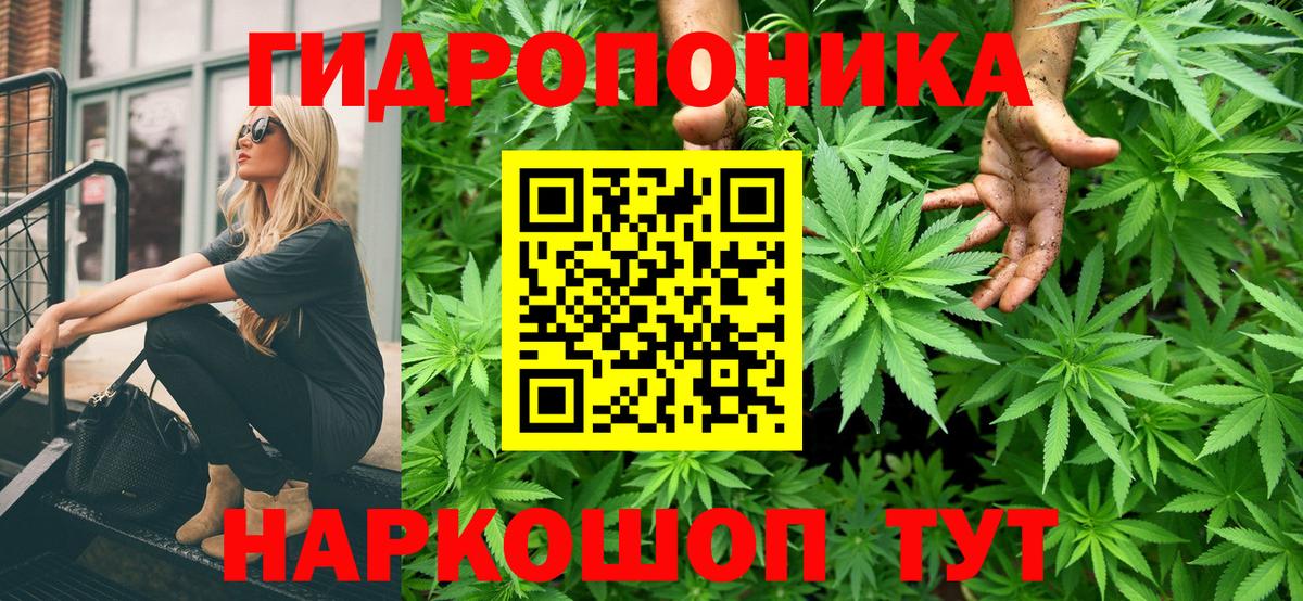 Конопля план Алексеевка